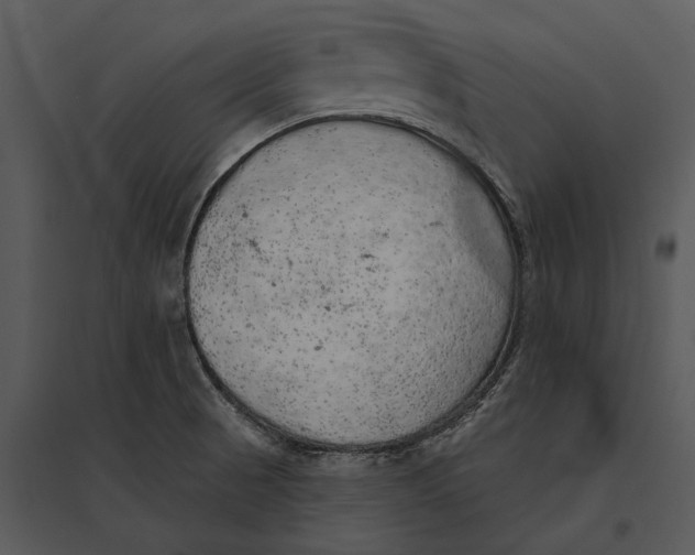 X0000095511521200801041148