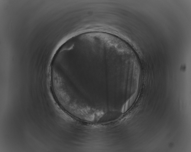 X0000095511522200801041148