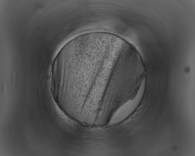 X0000095511524200801041148