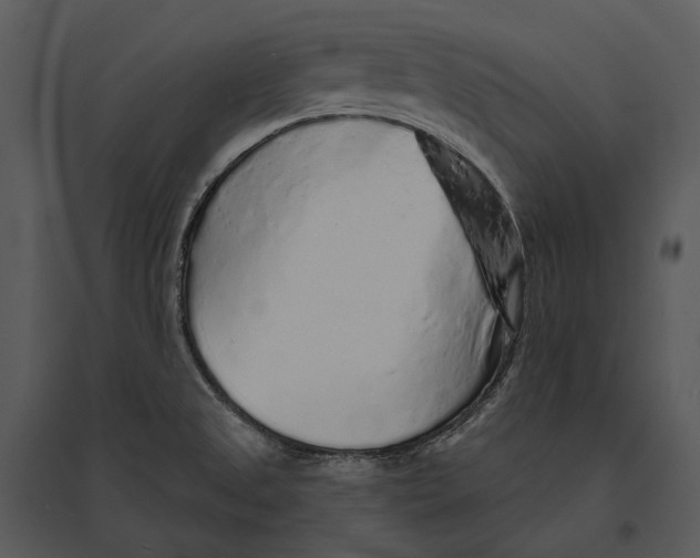 X0000095511525200801041148