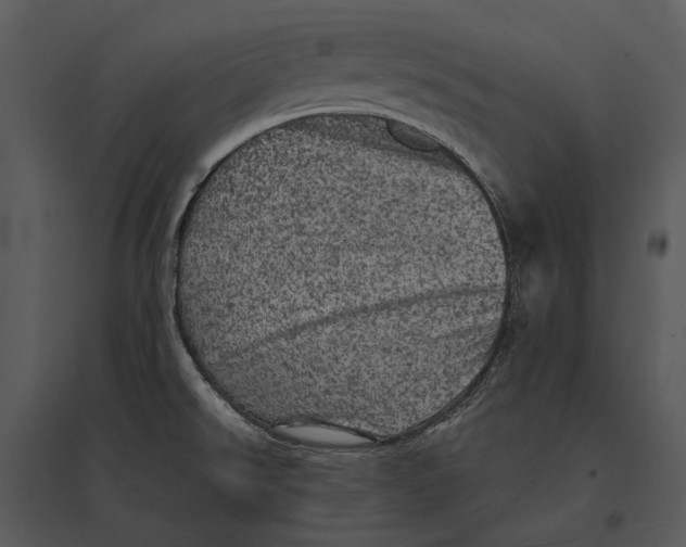 X0000095511526200801041148