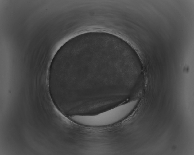 X0000095511527200801041148