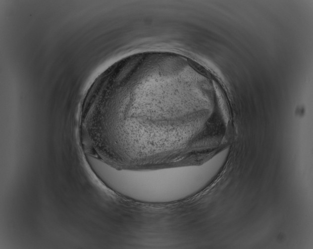 X0000095511528200801041148