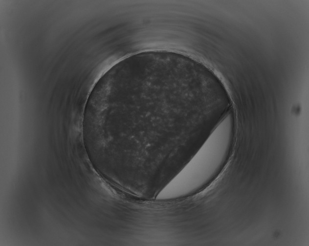 X0000095511529200801041148