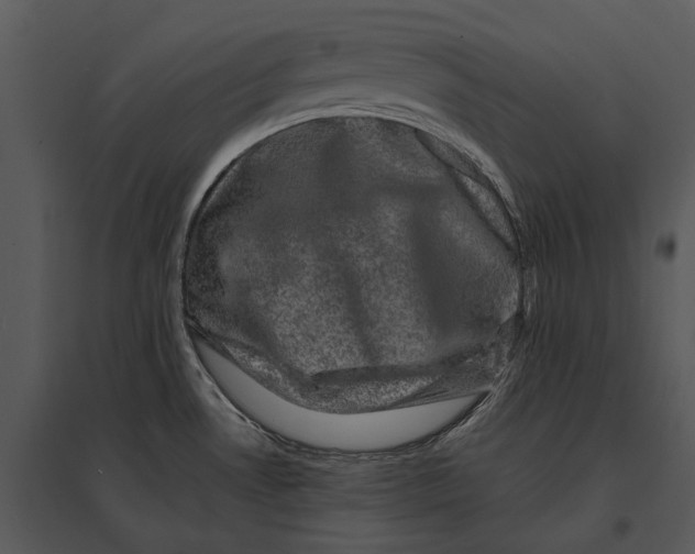 X0000095511530200801041148