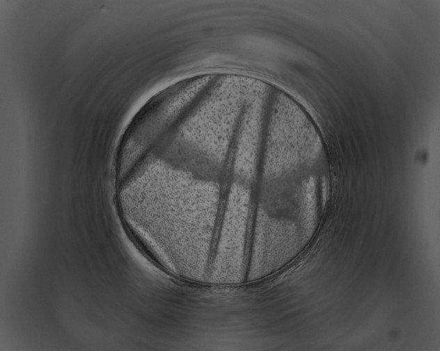 X0000095511531200801041148