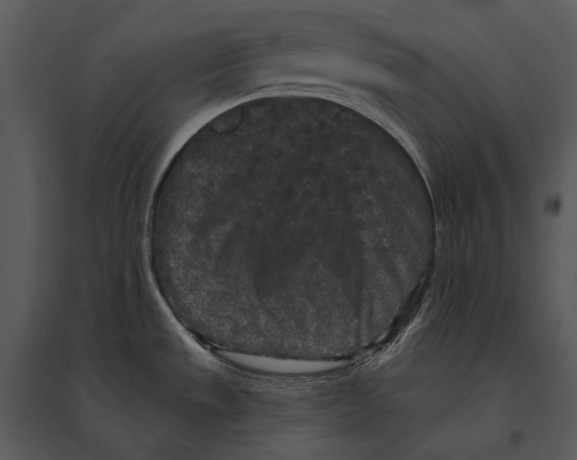 X0000095511533200801041148