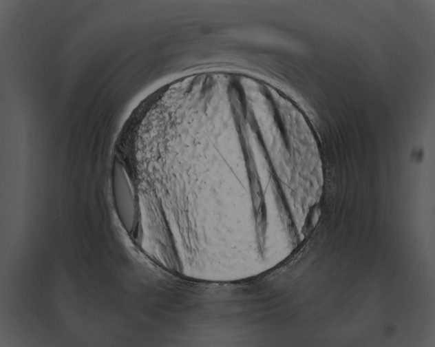 X0000095511534200801041148