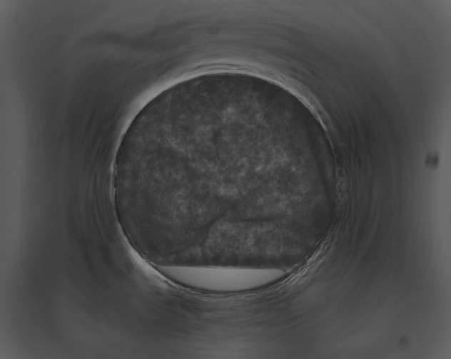 X0000095511535200801041148