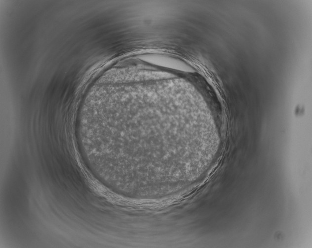 X0000095510001200801111424