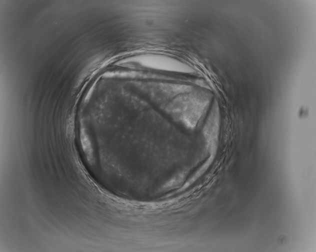 X0000095510002200801111424