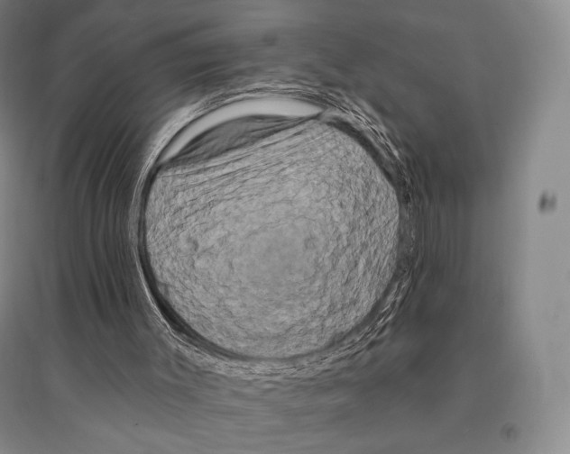 X0000095510003200801111424