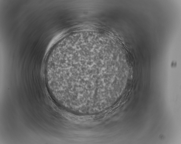 X0000095510004200801111424