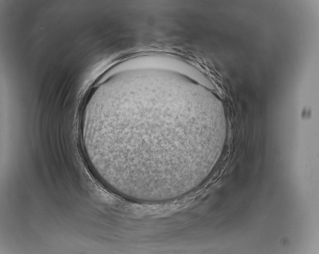X0000095510005200801111424