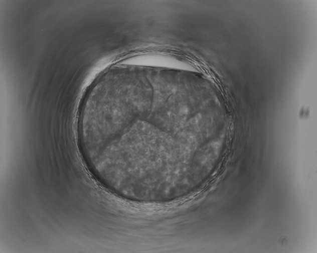 X0000095510006200801111424