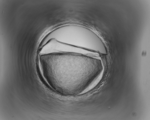 X0000095510007200801111424