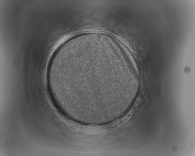 X0000095510008200801111424