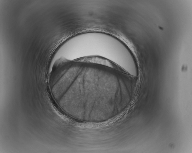 X0000095510009200801111424
