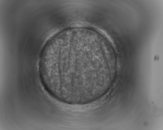 X0000095510010200801111424