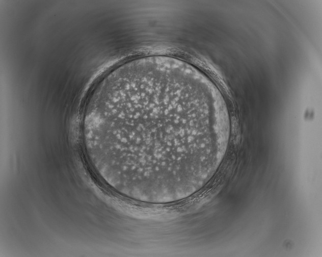 X0000095510012200801111423