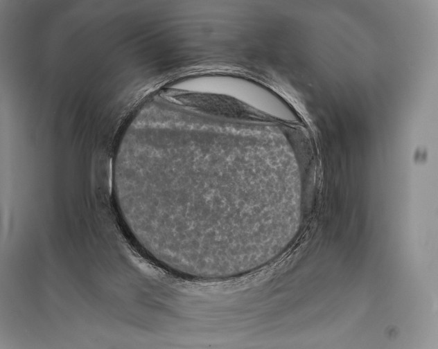 X0000095510013200801111423