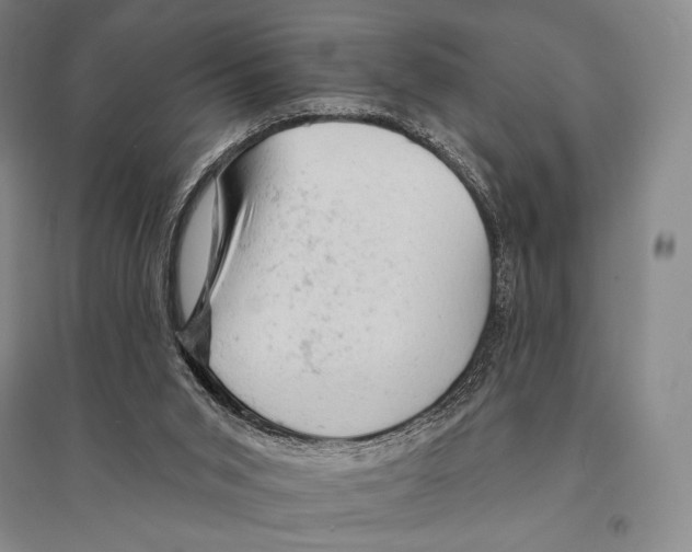 X0000095510015200801111423