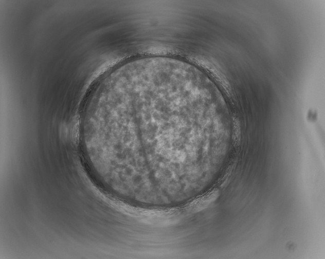 X0000095510016200801111423