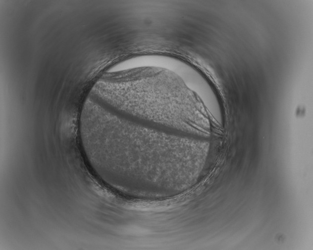 X0000095510017200801111423
