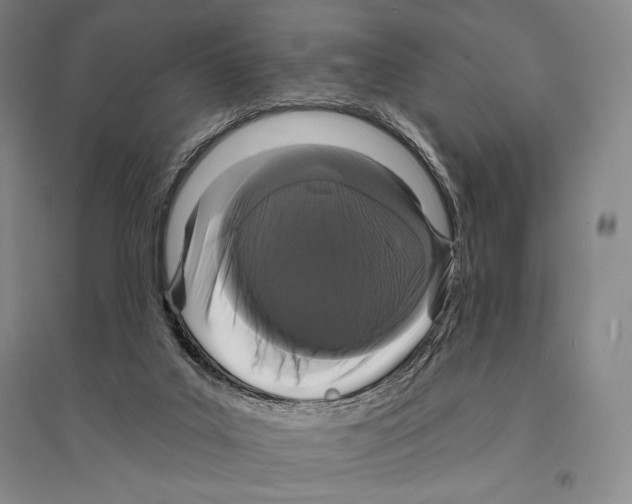 X0000095510019200801111423