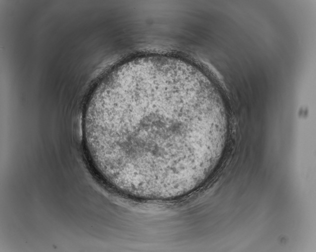 X0000095510020200801111423