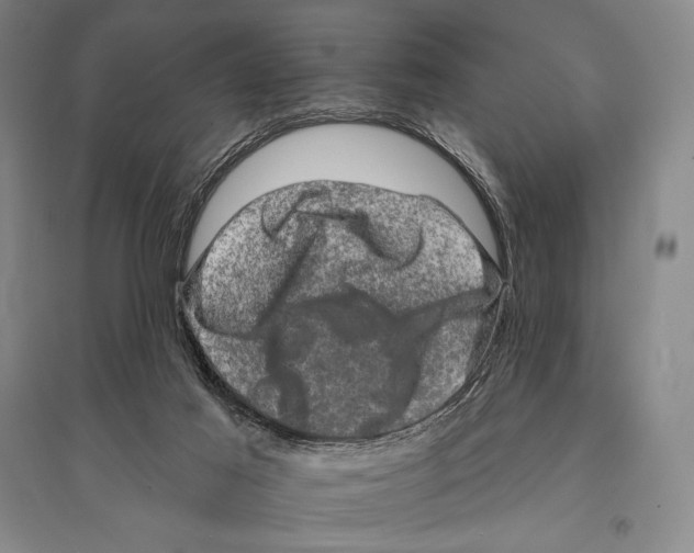 X0000095510021200801111423