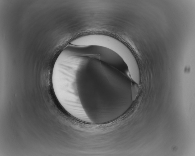 X0000095510023200801111423