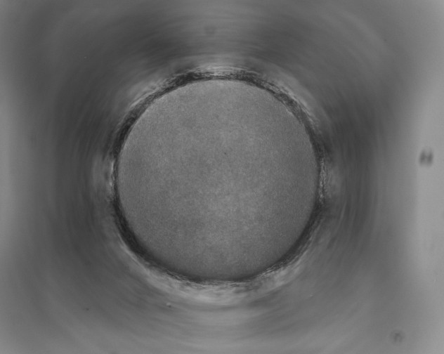 X0000095510024200801111423