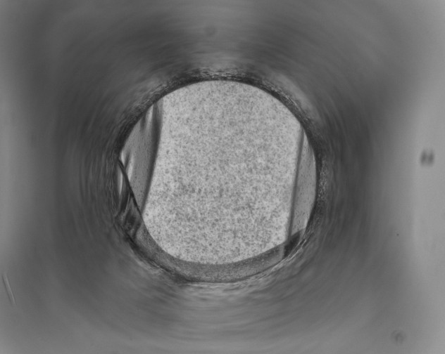 X0000095510025200801111423