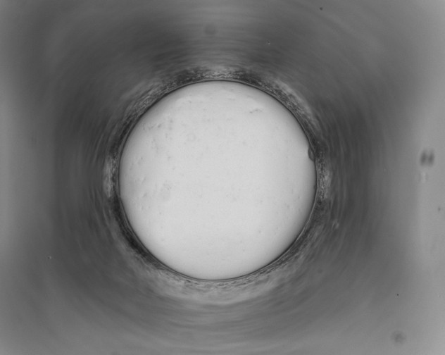 X0000095510026200801111423