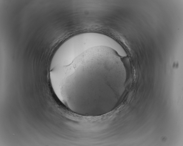 X0000095510027200801111423