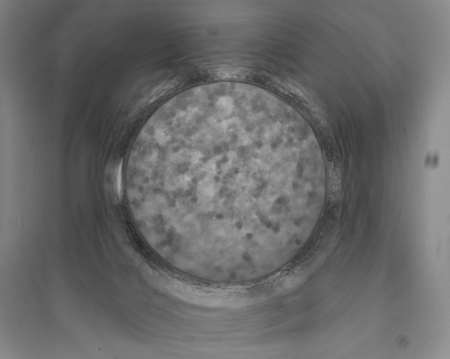 X0000095510028200801111423