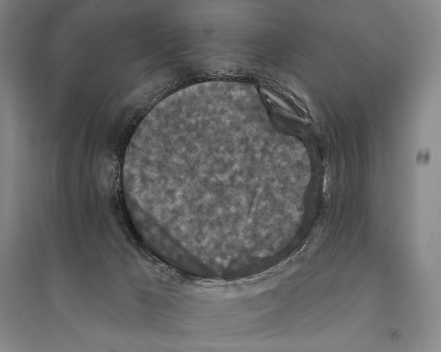 X0000095510029200801111423