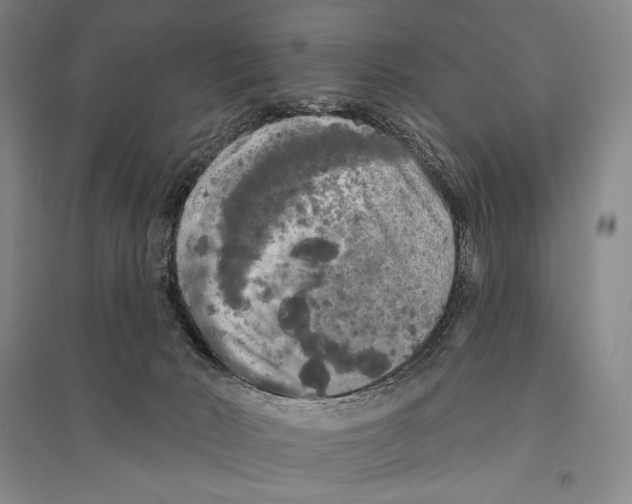 X0000095510030200801111423