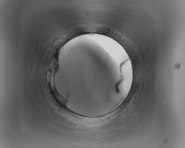 X0000095510031200801111423