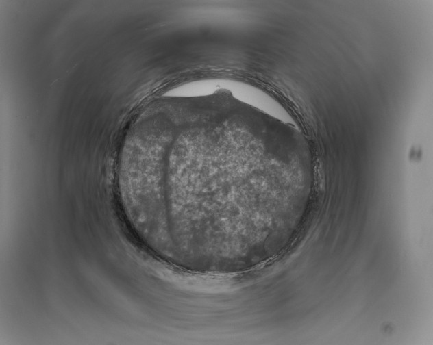 X0000095510032200801111423