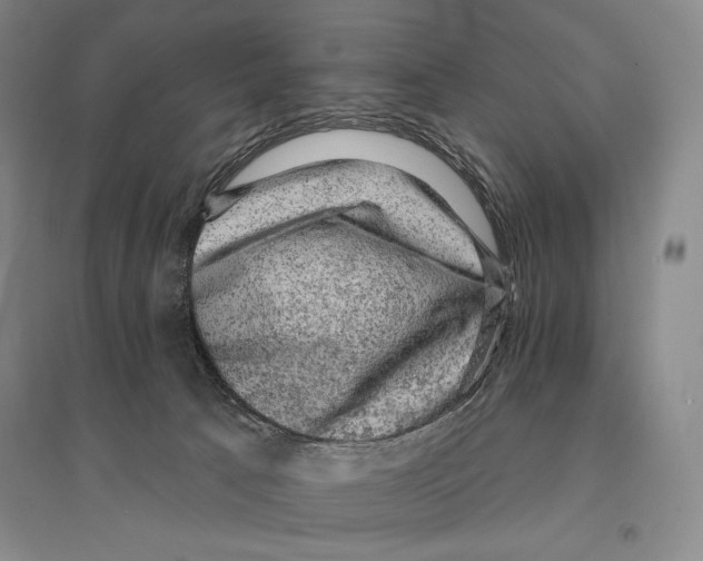 X0000095510033200801111423
