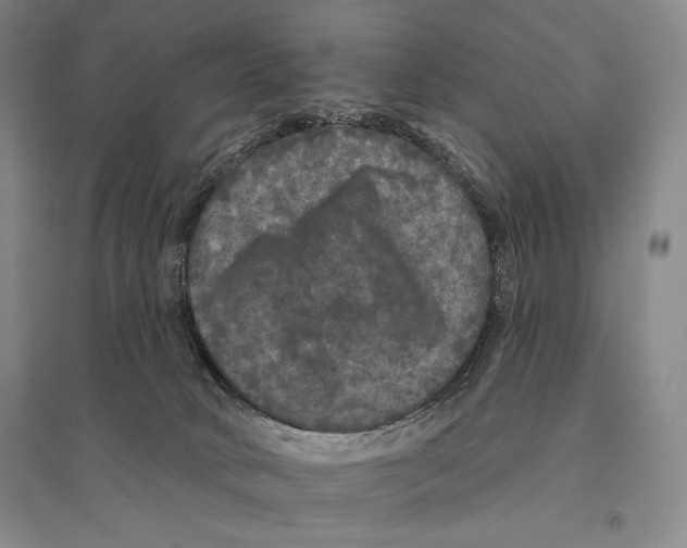 X0000095510034200801111423