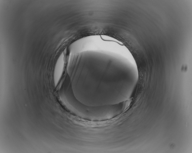 X0000095510035200801111423