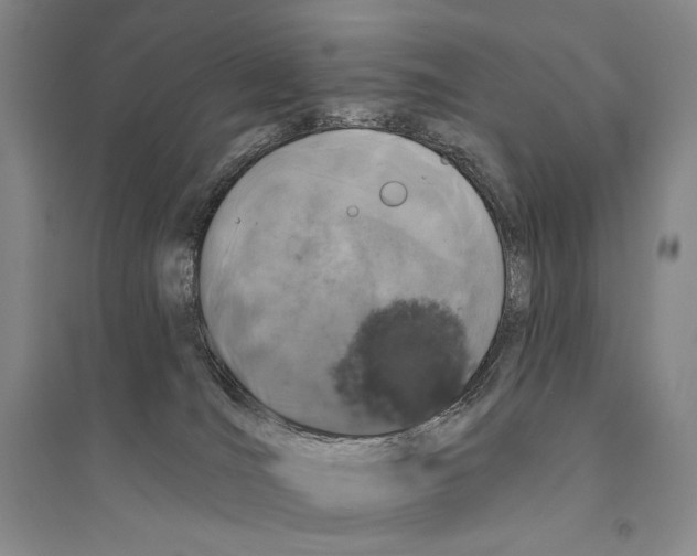 X0000095510036200801111423
