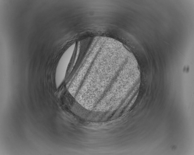 X0000095510037200801111423