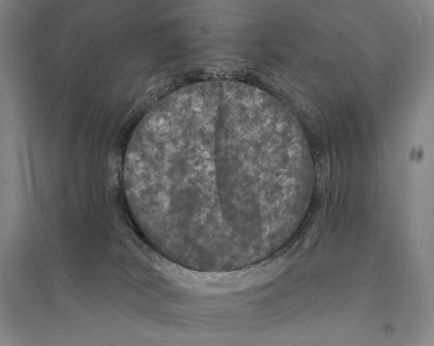 X0000095510038200801111423