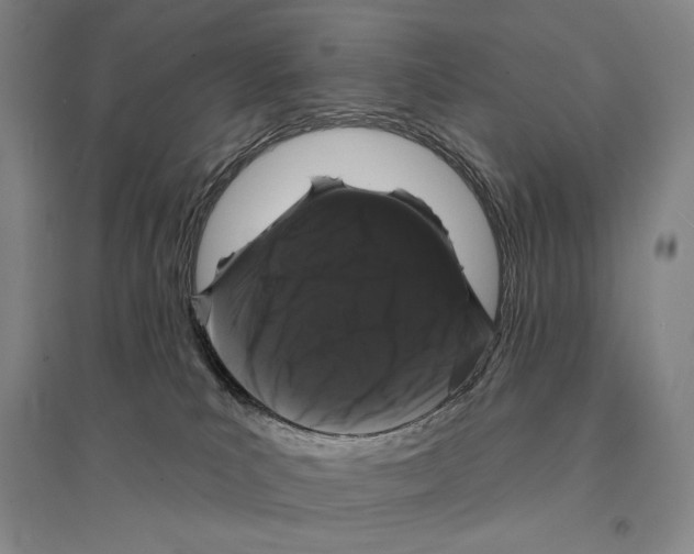 X0000095510039200801111423