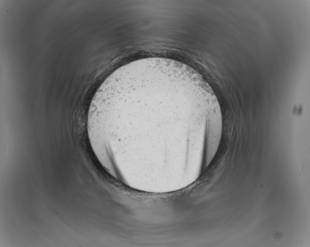 X0000095510040200801111423