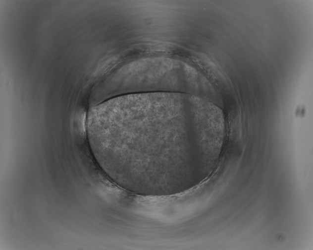 X0000095510041200801111423